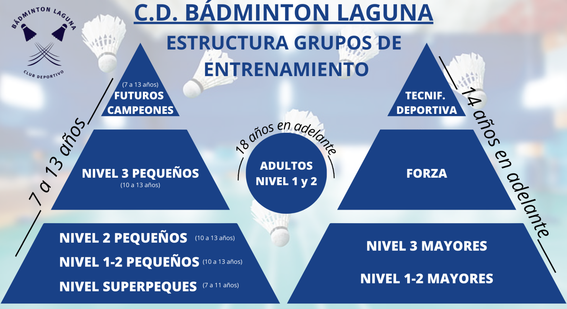 Estructura grupos de entrenamiento c d badminton laguna 1